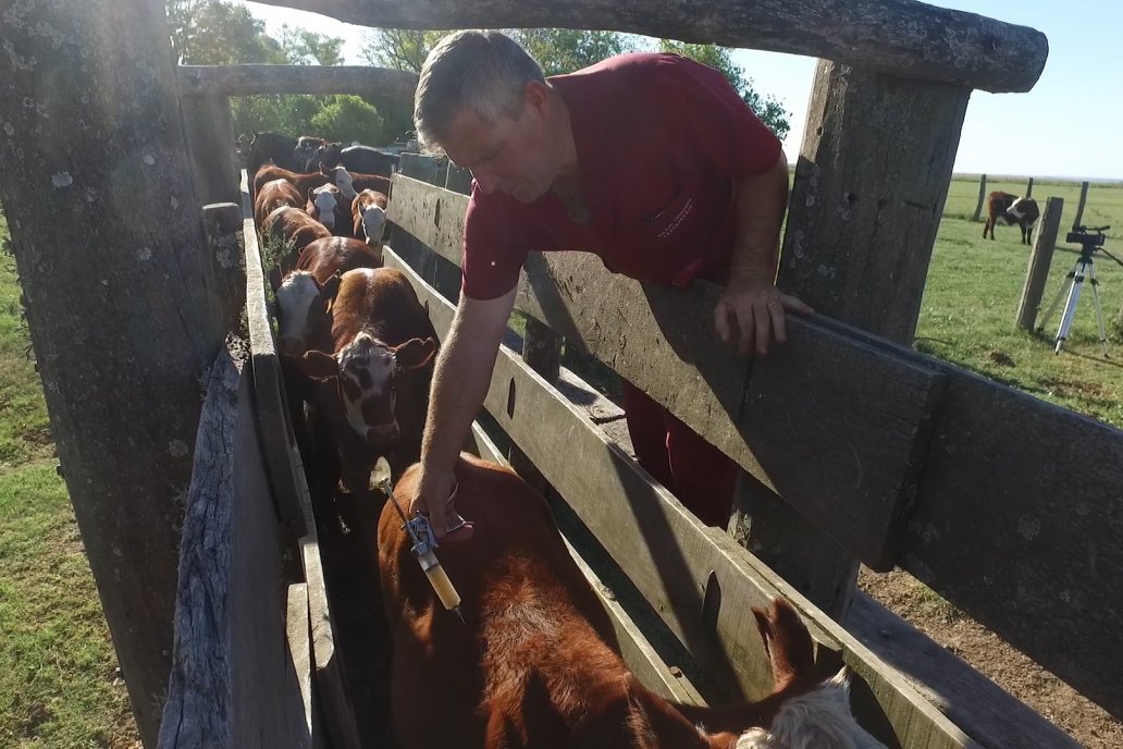 La iniciativa oficial prevé financiamiento para sanidad, instalaciones y manejo. La iniciativa oficial prevé financiamiento para sanidad, instalaciones y manejo.