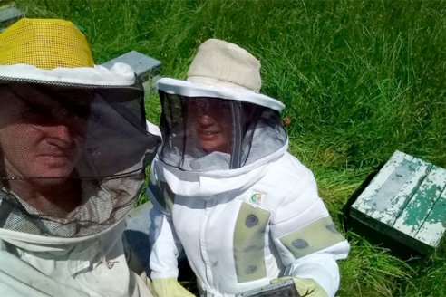 El medio ambiente entrerriano potencia la producción de miel