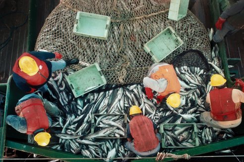 Agro y pesca juntas suman el 75% de las exportaciones