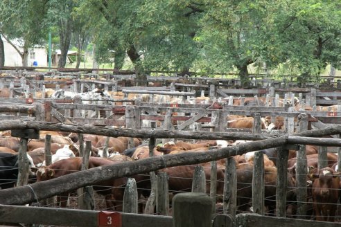 Pequeños productores tienen su propio remate y feria