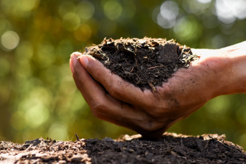 Verdesian: Tecnologías innovadora para hacer uso eficiente de nutrientes, en los cultivos de invierno.