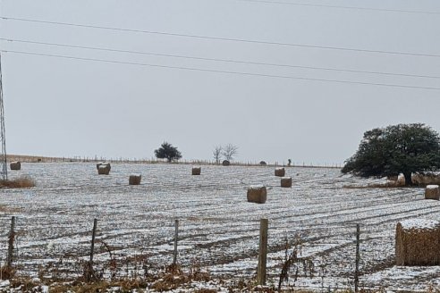 El campo se pinta de blanco y las labores agrícolas se frenaron en el centro y sur de la Argentina