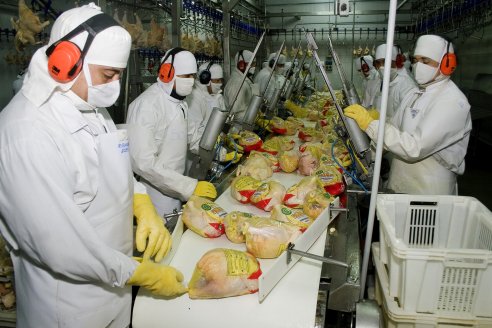 Radiografía de la avicultura: el 90% de los pollos que se producen en el país van para consumo interno