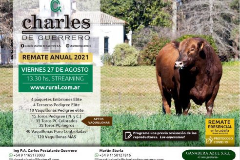 Charles, la cabaña Angus más antigua del país concreta su remate anual, presencial y on line