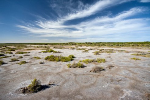 Salió el primer mapa argentino de suelos afectados por las sales