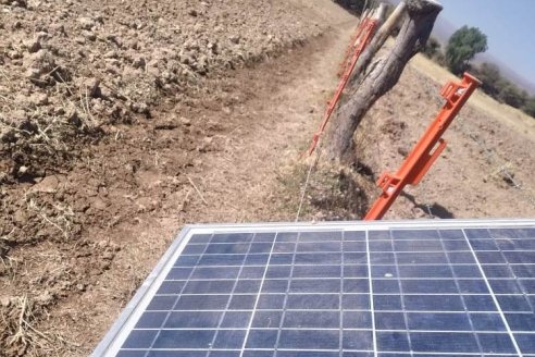 Llegan a Entre Ríos los boyeros solares, energía para el desarrollo productivo de las familias rurales