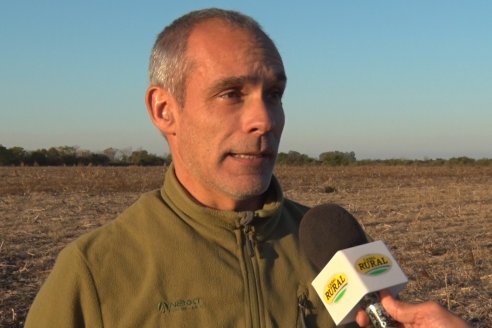 Mariano Podversich - Productor Agropecuario - Siembra de trigo en Cerrito