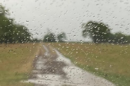 ¿Como serán las lluvias en la primavera?