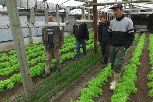 Visita a Huerta La Mirta:  Los crespenses se comen todo lo que producen los Senger