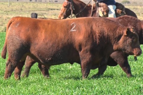 Edicion 2022: Don Pastor pone a la venta el fruto de todo un año de trabajo a campo
