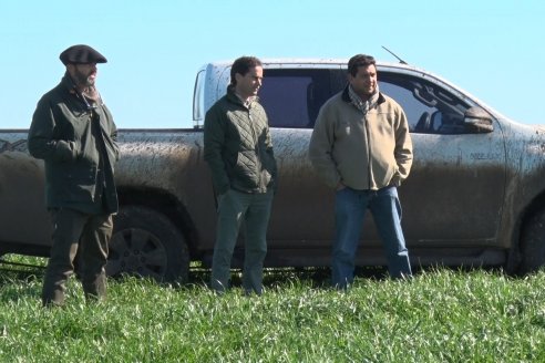 Edicion 2022: Don Pastor pone a la venta el fruto de todo un año de trabajo a campo