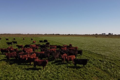 Edicion 2022: Don Pastor pone a la venta el fruto de todo un año de trabajo a campo