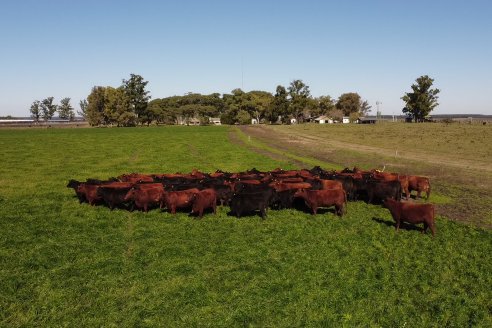 Edicion 2022: Don Pastor pone a la venta el fruto de todo un año de trabajo a campo