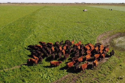 Edicion 2022: Don Pastor pone a la venta el fruto de todo un año de trabajo a campo