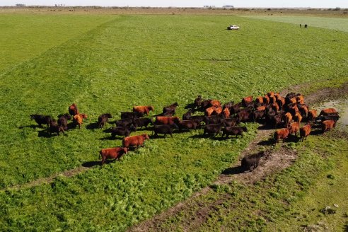 Edicion 2022: Don Pastor pone a la venta el fruto de todo un año de trabajo a campo