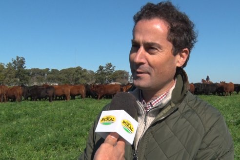 Edicion 2022: Don Pastor pone a la venta el fruto de todo un año de trabajo a campo