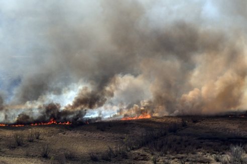 El Servicio Meteorológico precisó que el fuego se expandió por 90.000 hectáreas de Entre Ríos
