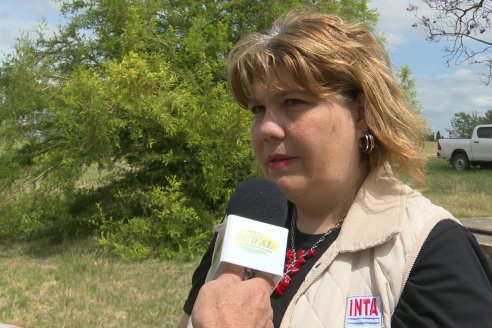 Adriana Saluso: "El monitoreo es la piedra angular del manejo de plagas desde antes de la siembra"