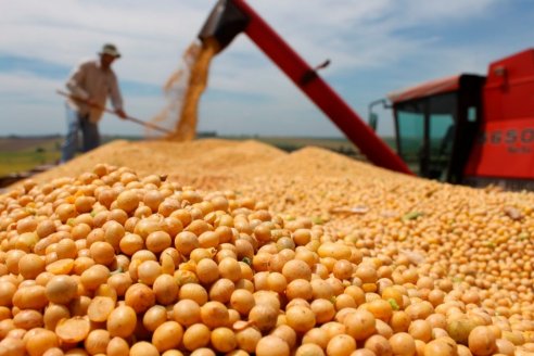 La soja subsidiada llegó a venderse a 100.000 pesos la tonelada y la operación fue noticia nacional