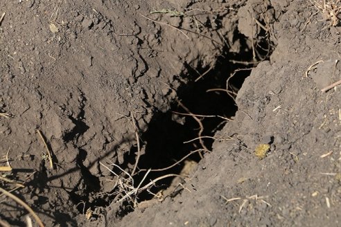 Ahora definen como "extrema" a la sequía en la región