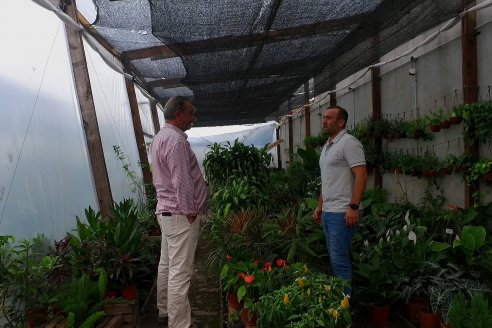 Visita Vivero Pampagrass - Ing. Federico Solari - Jardineria Interior/Exterior