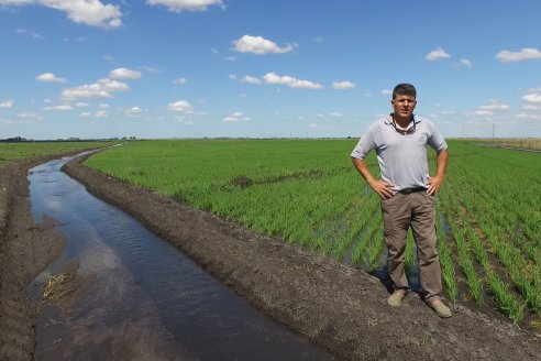Nicolás Galeano: "En el arroz se nota un atraso de las emergencias producto del clima"