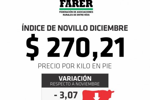 Disparidad entre el índice novillo de Farer y el de Cañuelas