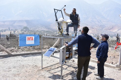 En el norte del país ya miden la radiación solar en los cultivos