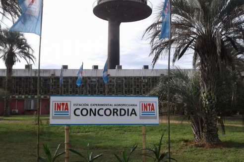 El INTA Concordia adelantó hasta cuándo se extenderá La Niña en la región