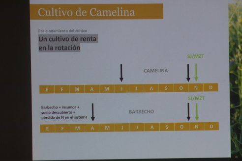 Camelina Tour 2023 - Macro Seed y LDC - Villaguay. Entre Ríos - Un cultivo que invita a la diversificación sustentable