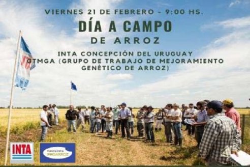 DIA A CAMPO DE ARROZ