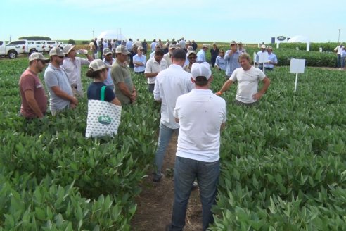 NK semillas realizó el primer "Punto NK" del país en Rincón de Nogoyá