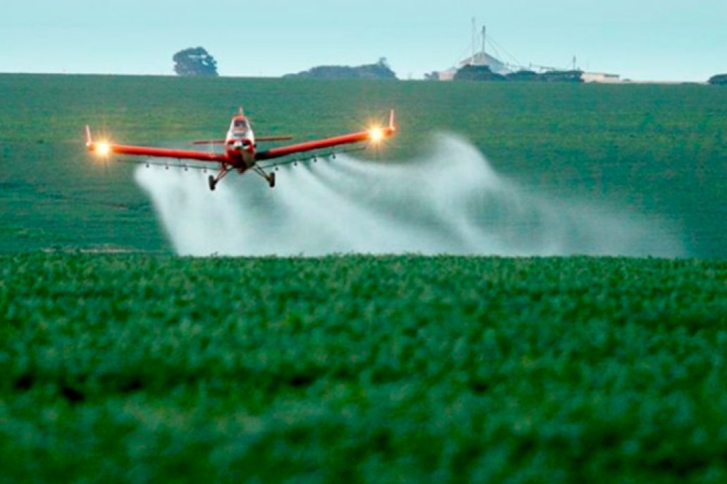 La medida empieza a aplicarse en 45 días para los importadores del producto.