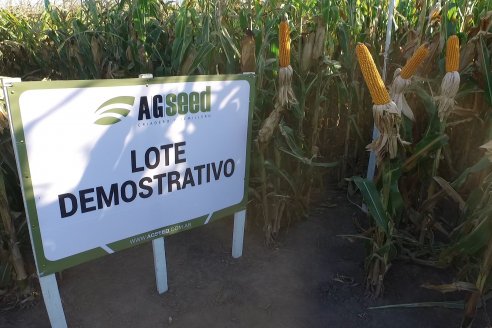 El semillero juninense AGseed realizó su jornada a campo en Colonia Reffino