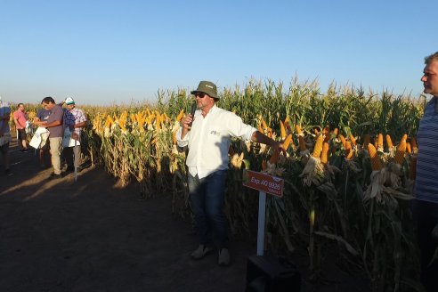 El semillero juninense AGseed realizó su jornada a campo en Colonia Reffino