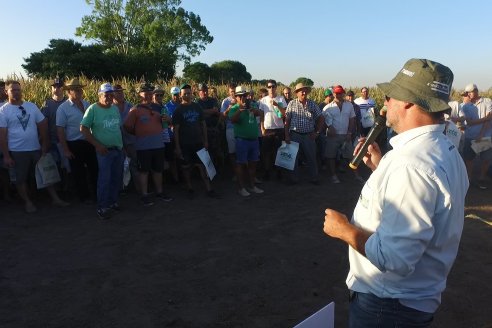 El semillero juninense AGseed realizó su jornada a campo en Colonia Reffino