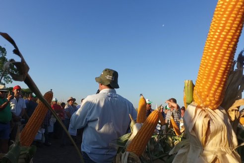 El semillero juninense AGseed realizó su jornada a campo en Colonia Reffino