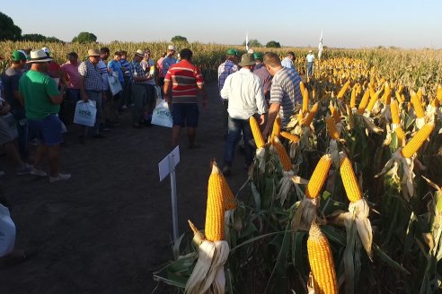 El semillero juninense AGseed realizó su jornada a campo en Colonia Reffino