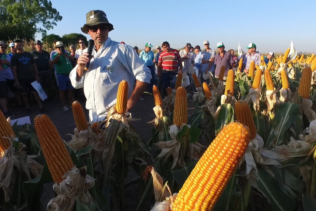 El semillero juninense AGseed realizó su jornada a campo en Colonia Reffino