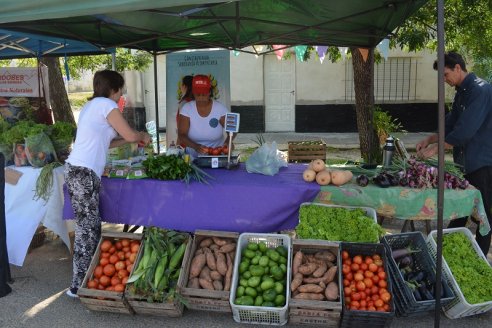 El ProHuerta aporta a la canasta básica de alimentos saludables