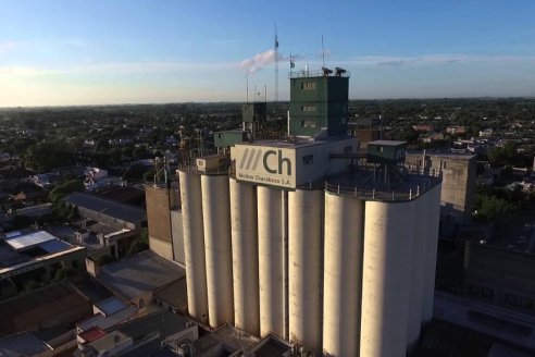 Aún quedan por ingresar al mercado argentino seis millones de toneladas de trigo