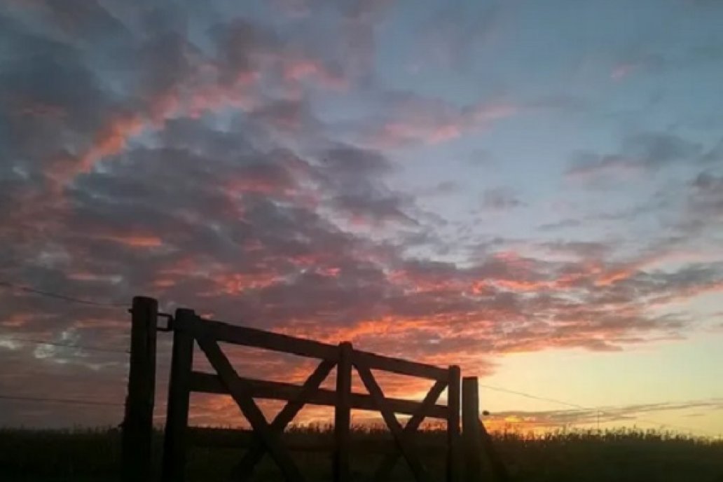 Cómo se encuentra el mercado inmobiliario rural.