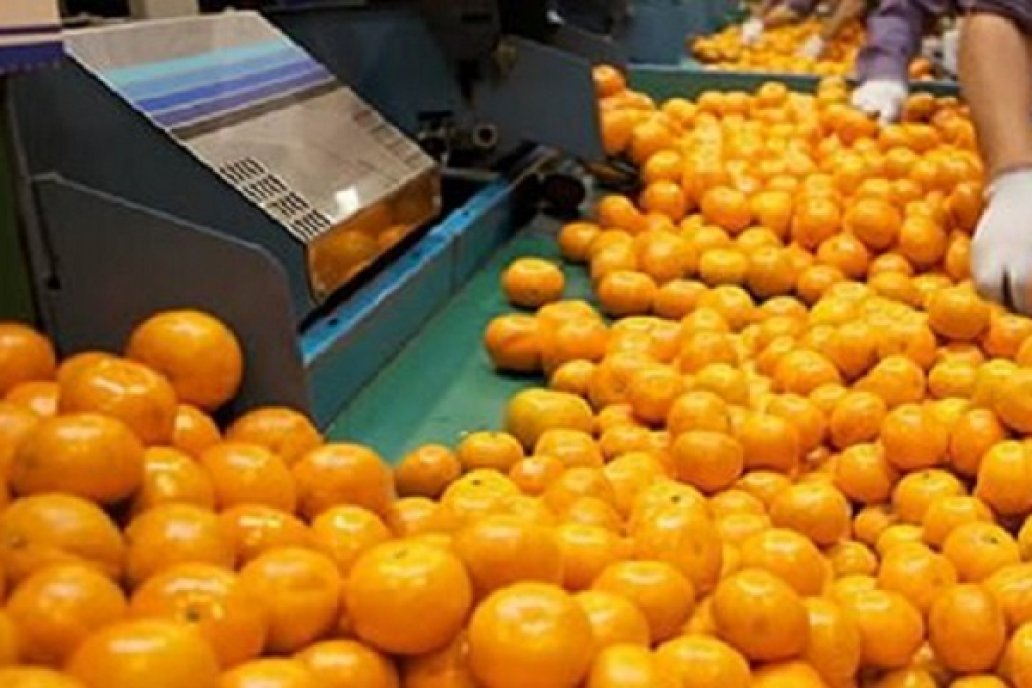 Desde FeCiER formularon un pedido a productores por envío de fruta sin madurar