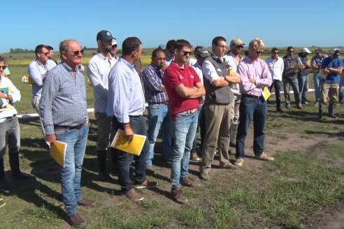 Día de Campo de Arroz 2020 - Fundación PROARROZ y GTMGA INTA C.del Uruguay