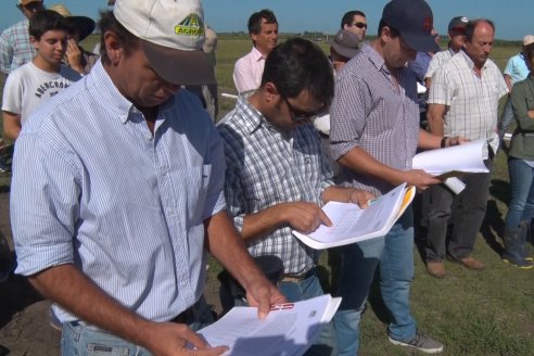 Día de Campo de Arroz 2020 - Fundación PROARROZ y GTMGA INTA C.del Uruguay