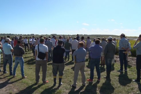 Día de Campo de Arroz 2020 - Fundación PROARROZ y GTMGA INTA C.del Uruguay