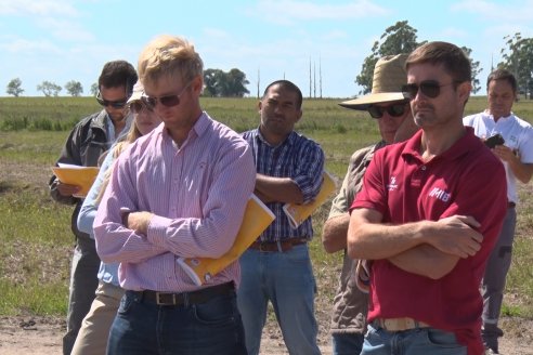 Día de Campo de Arroz 2020 - Fundación PROARROZ y GTMGA INTA C.del Uruguay