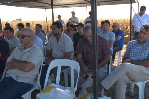 Campo Lider Nidera de La Impronta - Agronomía Pura - El Solar - Departamento La Paz - Entre Ríos