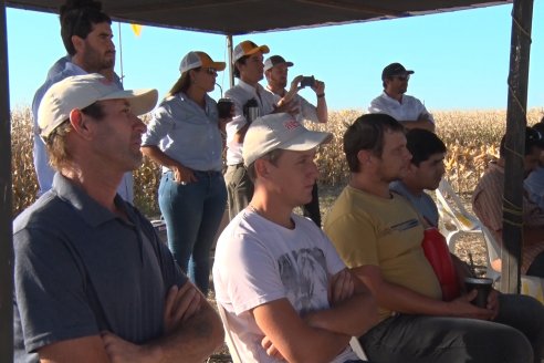 Campo Lider Nidera de La Impronta - Agronomía Pura - El Solar - Departamento La Paz - Entre Ríos