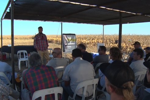 Campo Lider Nidera de La Impronta - Agronomía Pura - El Solar - Departamento La Paz - Entre Ríos